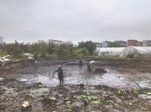 牧野河道鱼塘清淤